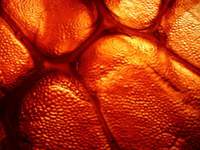An example image - red rock texture